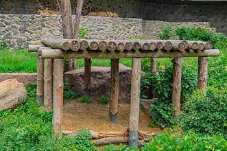 Wooden scaffolding during the restoration of an ancient stone cathedral. Wooden platform, log structure for animals