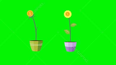 the animation of investment concept metaphors