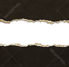 Torn paper borders