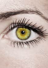 Yellow Eye - Beautiful, Feminine