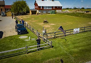 An Aerial View of Farm Animals, Barn and a Boy Taking a Photo of My Drone