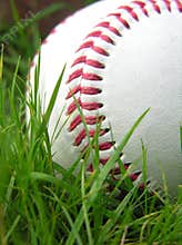 Baseball