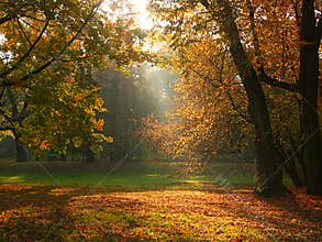 Sunlight break-through