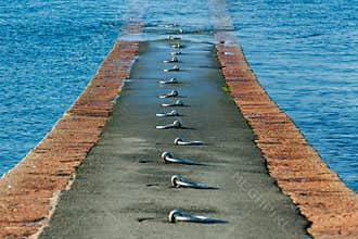 Quay with a series of round rings to attach boats