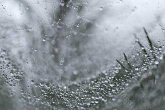 Dew drops on web threads - natural abstraction, backgrounds, textures.