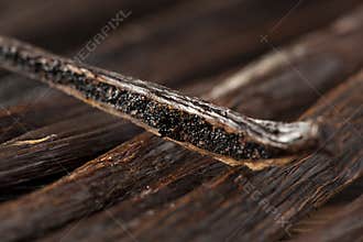 Fresh Brown Organic Vanilla Bean
