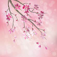 Spring vector tree branch cherry blossom flowers