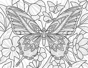 Butterfly coloring book vector