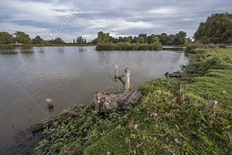 Fallen log in pond left to create a habitat for wildlife
