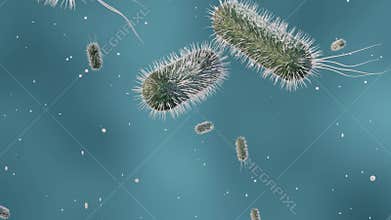 Moving escherichia coli bacteria in the media
