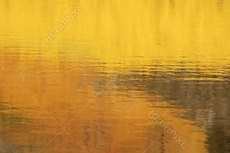Autumn Reflections