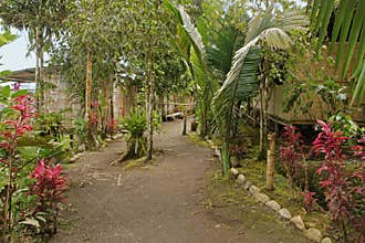 Amazon Rainforest Indian Village