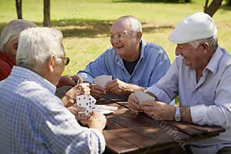 Active seniors, group of old friends playing cards at park