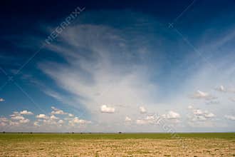 African Plain