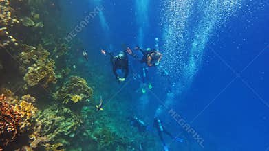 Group of divers in the Red Sea, Marsa Alam, Egypt