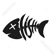 hand drawn fish illustration