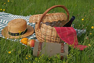 Basket of picnic