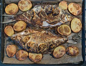 Just baked freshwater bream fish cooked with fresh rosemary and species with sliced lemons fruits and served with potato on the
