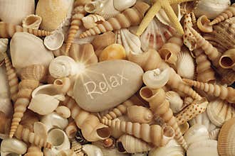 Relax Pebble on holiday seashell background
