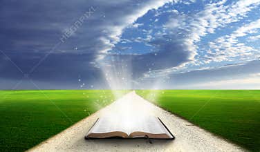 Open bible in field.