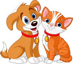 Cat and Dog
