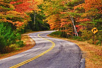 Autumn Drive in New England