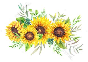 Watercolor sunflowers bouquet, hand painted sunflower bouquets, sunfower flower arrangement. Wedding invitation clipart elements.