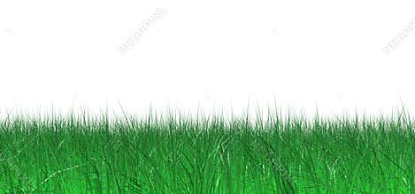 Juicy grass