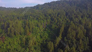 Established Aerial View of Hidden Waterfall in the middle of Dense Rainforest