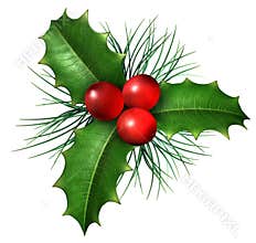 Christmas Holly