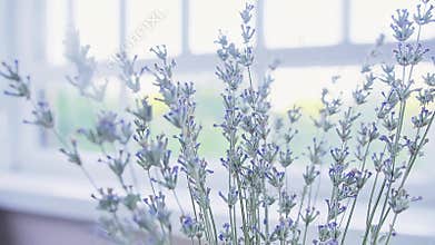 Bouquet of dried lavender tied bundle in a vase on a white table