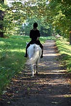 Riding on sunny road