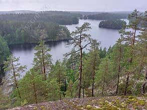 Fog over the lake, rocks and forest in the Repovesi National Park after the rain - view from Katajavuori Hill