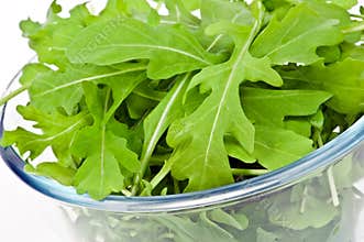 Arugula