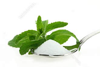 Stevia sugar