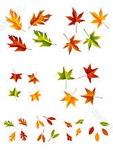 Autumn Leaves