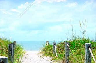 Beautiful beach path scene with sea oats
