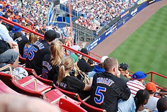 Grandstand at New York Mets Baseball Game with team jerseys