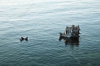 Old shipwreck