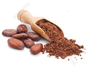 Cacao beans and cacao powder on white