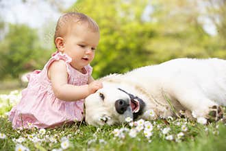 Baby Girl Sitting In Field Petting Family Dog