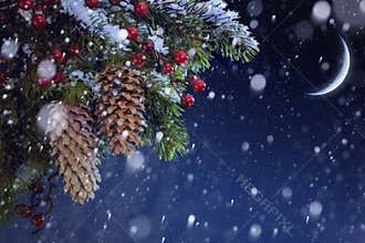 Christmas tree covered snow on blue night sky