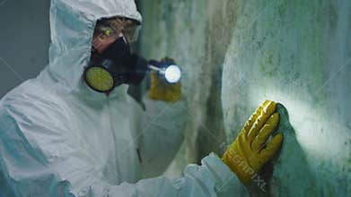 mold exterminator disinfection search for a black mold fungus focus