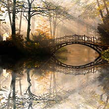 Autumn in misty park