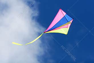 Flying kite