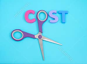 Cost cutter