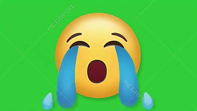 Crying Emoji Face