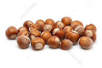 Hazelnuts