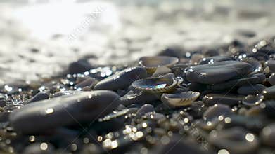 Sunlit Seashore Stones