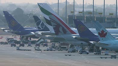 Aircraft tails in a row at the airport terminal